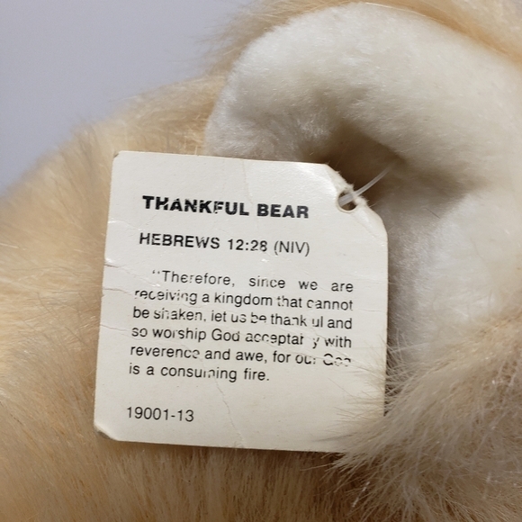 Wee Win Toys 17" Thankful Teddy Bear Vintage Made in Korea Religious Plush - Picture 8 of 9